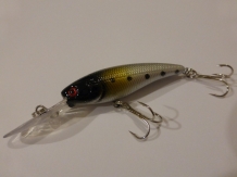 images/productimages/small/crankbait 6 cm new 002 [HDTV (1080)].JPG